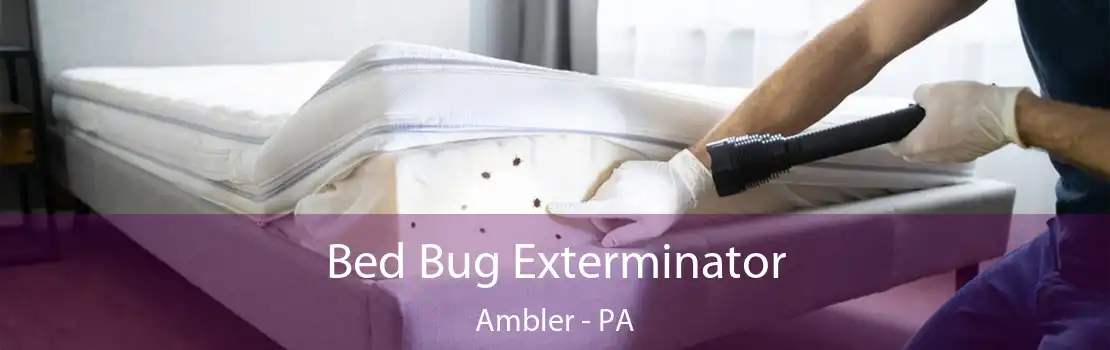 Bed Bug Exterminator Ambler - PA