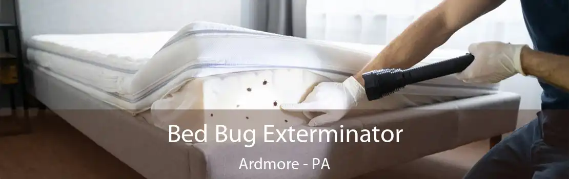 Bed Bug Exterminator Ardmore - PA