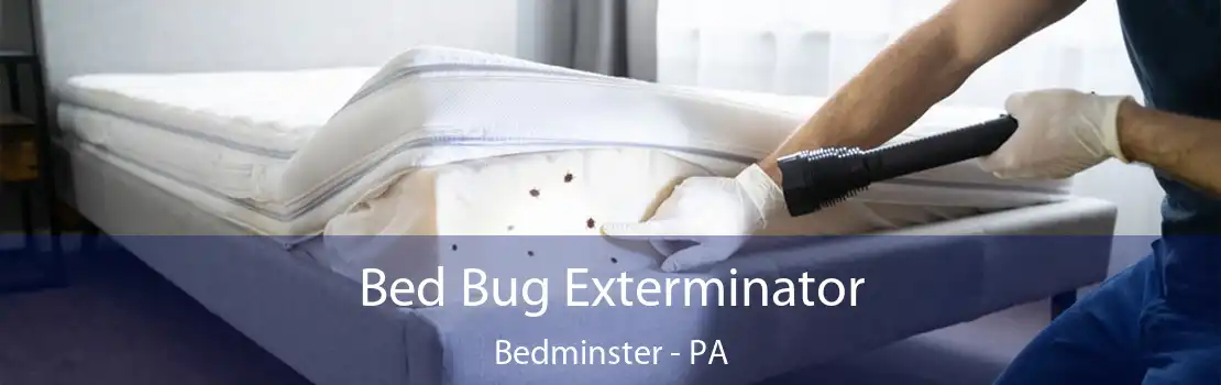 Bed Bug Exterminator Bedminster - PA