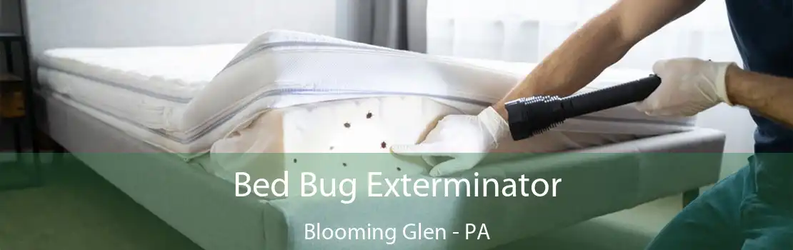 Bed Bug Exterminator Blooming Glen - PA