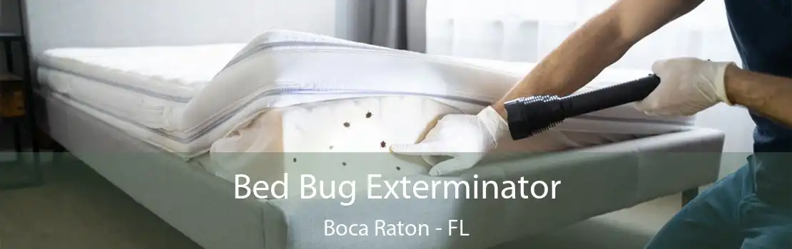 Bed Bug Exterminator Boca Raton - FL