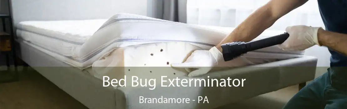 Bed Bug Exterminator Brandamore - PA