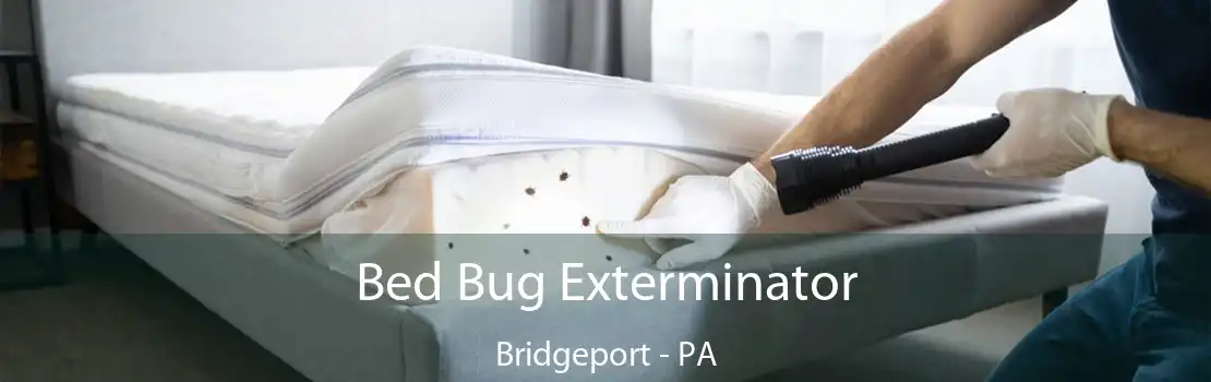 Bed Bug Exterminator Bridgeport - PA