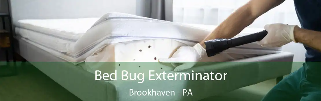 Bed Bug Exterminator Brookhaven - PA