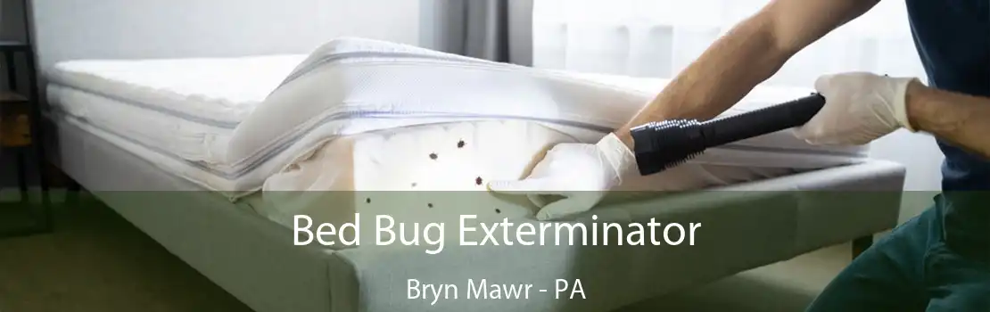 Bed Bug Exterminator Bryn Mawr - PA