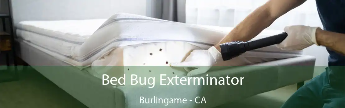 Bed Bug Exterminator Burlingame - CA