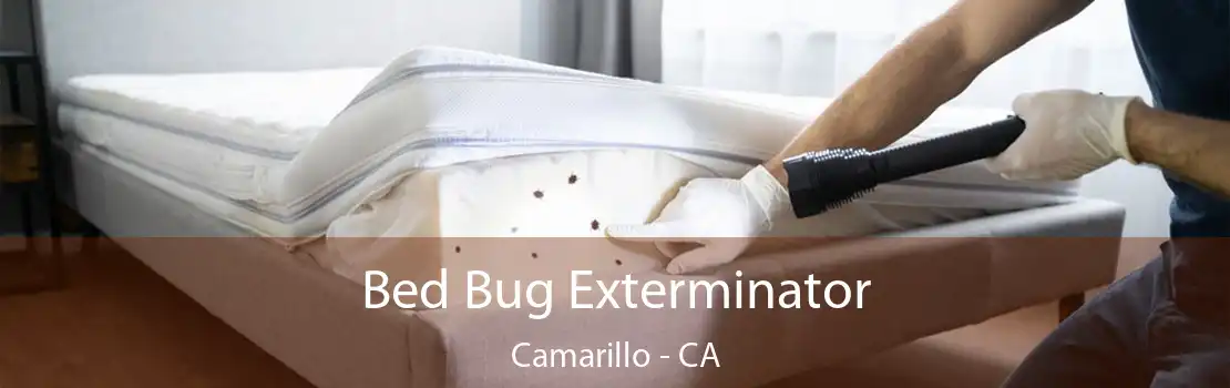 Bed Bug Exterminator Camarillo - CA