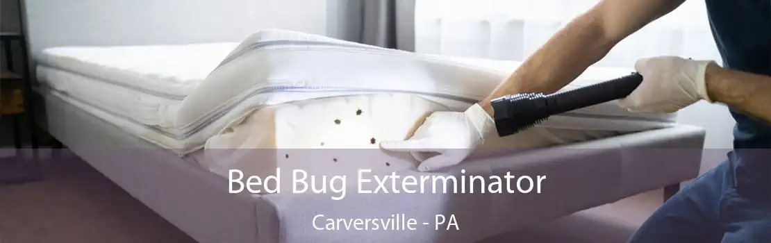 Bed Bug Exterminator Carversville - PA