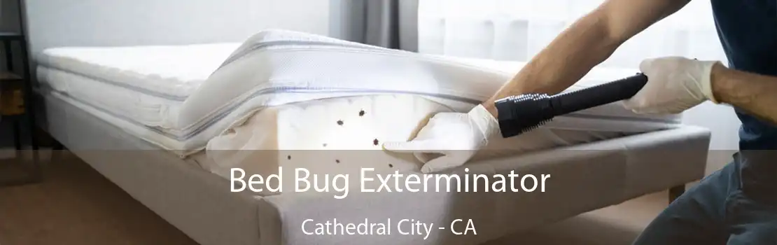 Bed Bug Exterminator Cathedral City - CA