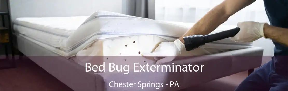 Bed Bug Exterminator Chester Springs - PA