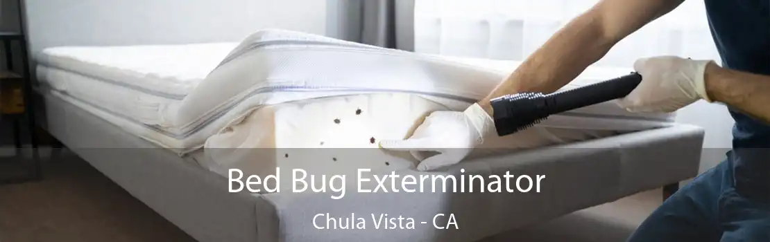 Bed Bug Exterminator Chula Vista - CA