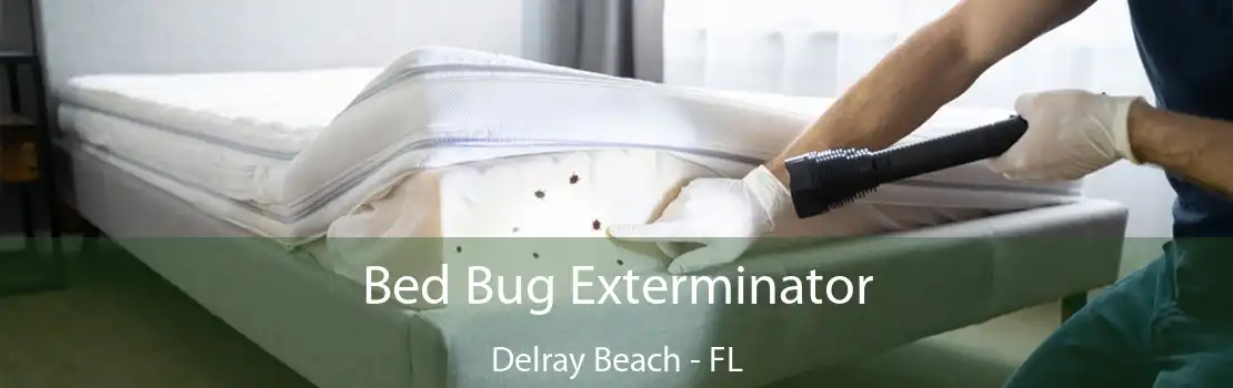 Bed Bug Exterminator Delray Beach - FL