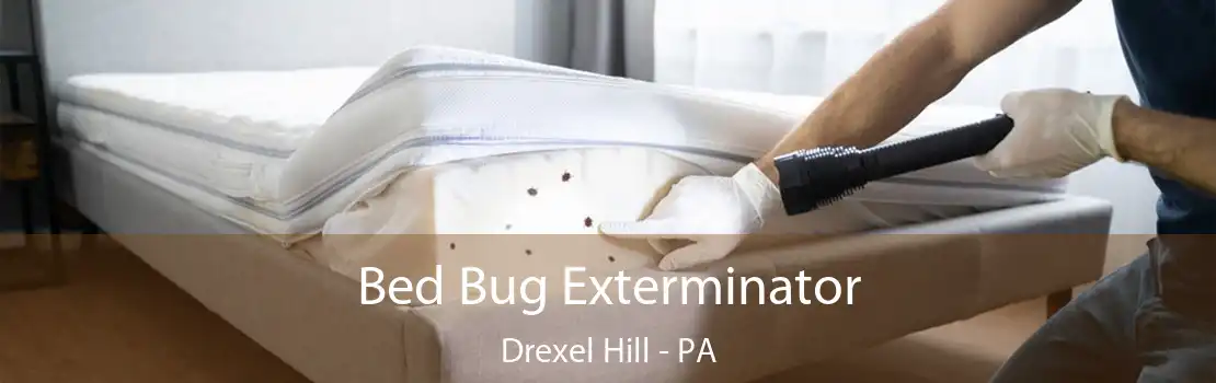 Bed Bug Exterminator Drexel Hill - PA