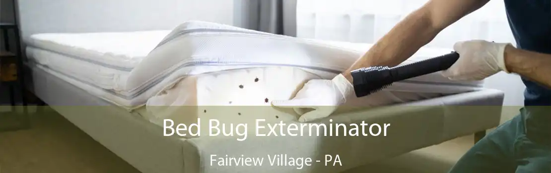 Bed Bug Exterminator Fairview Village - PA