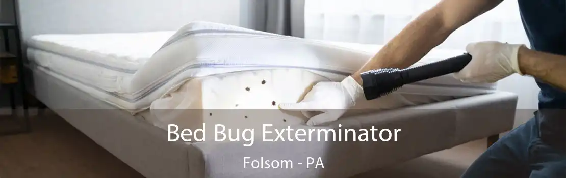 Bed Bug Exterminator Folsom - PA