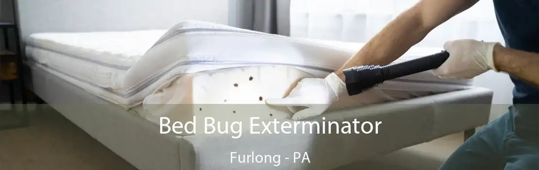 Bed Bug Exterminator Furlong - PA