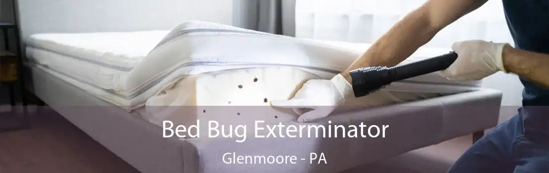 Bed Bug Exterminator Glenmoore - PA