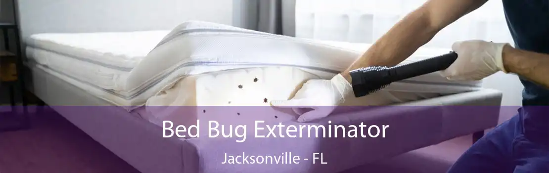 Bed Bug Exterminator Jacksonville - FL