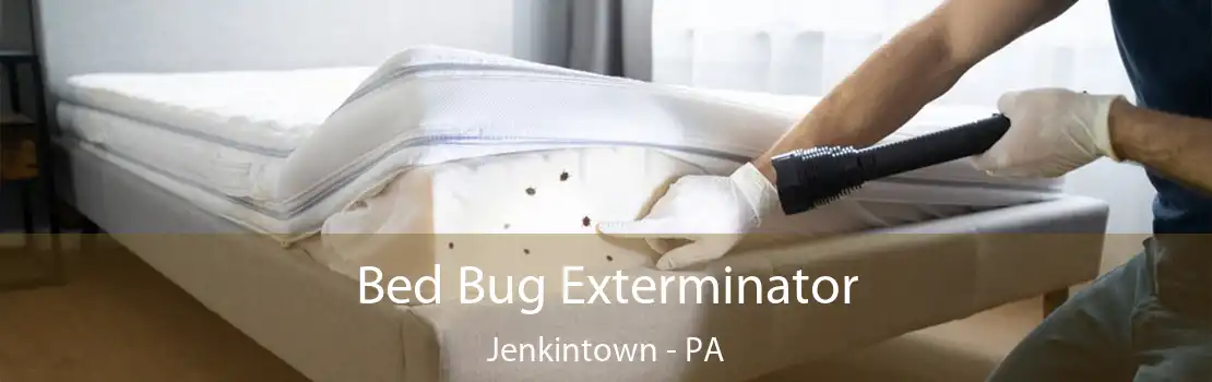 Bed Bug Exterminator Jenkintown - PA