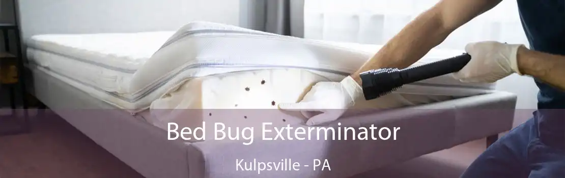 Bed Bug Exterminator Kulpsville - PA