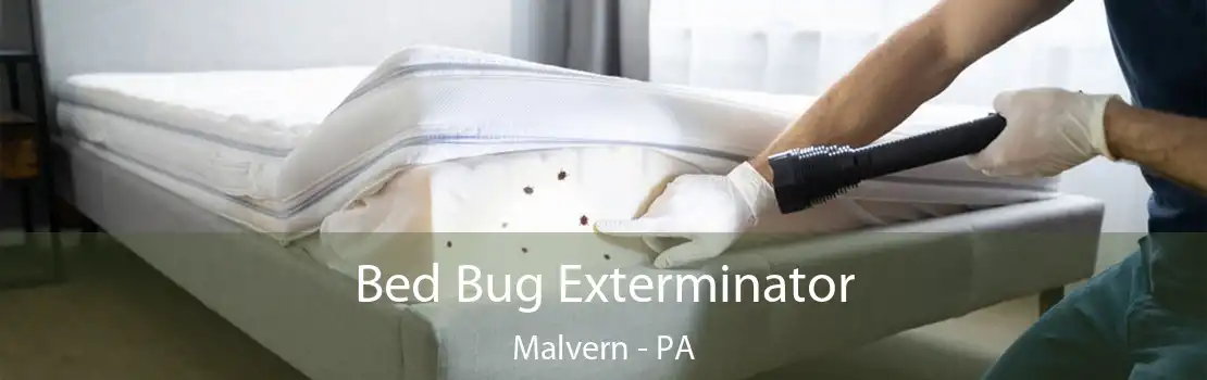 Bed Bug Exterminator Malvern - PA