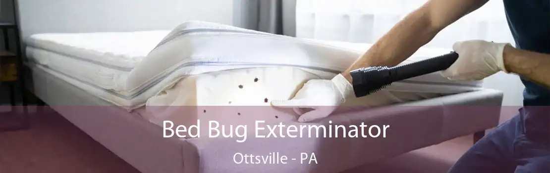 Bed Bug Exterminator Ottsville - PA