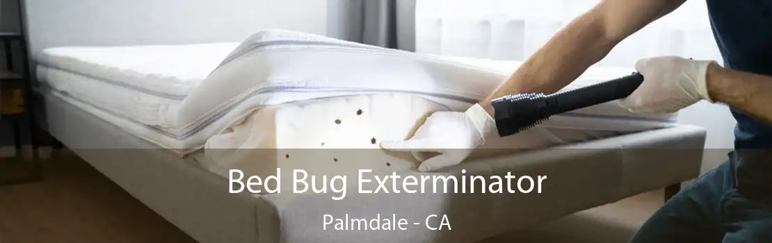 Bed Bug Exterminator Palmdale - CA