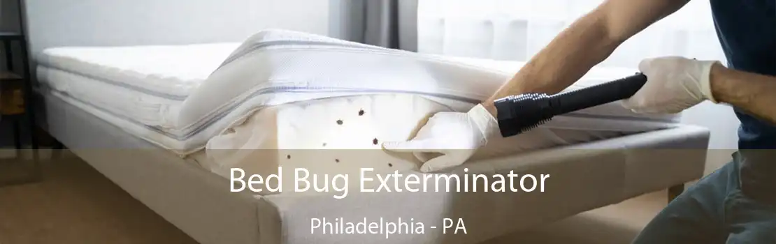 Bed Bug Exterminator Philadelphia - PA