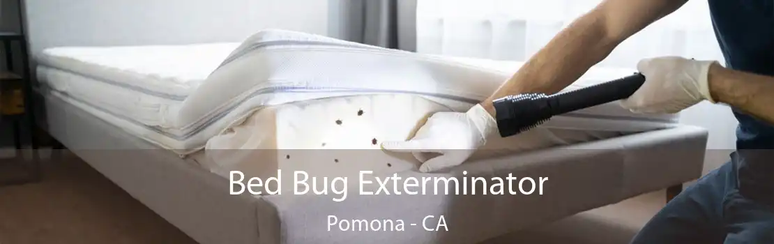 Bed Bug Exterminator Pomona - CA