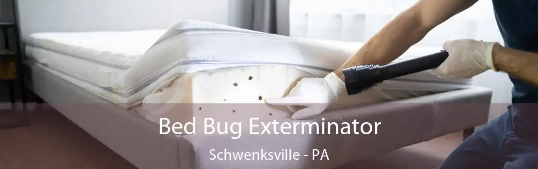 Bed Bug Exterminator Schwenksville - PA