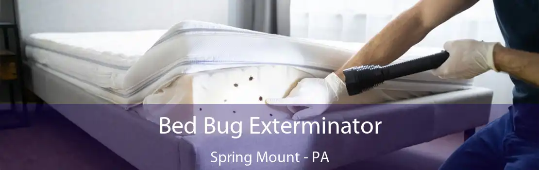 Bed Bug Exterminator Spring Mount - PA