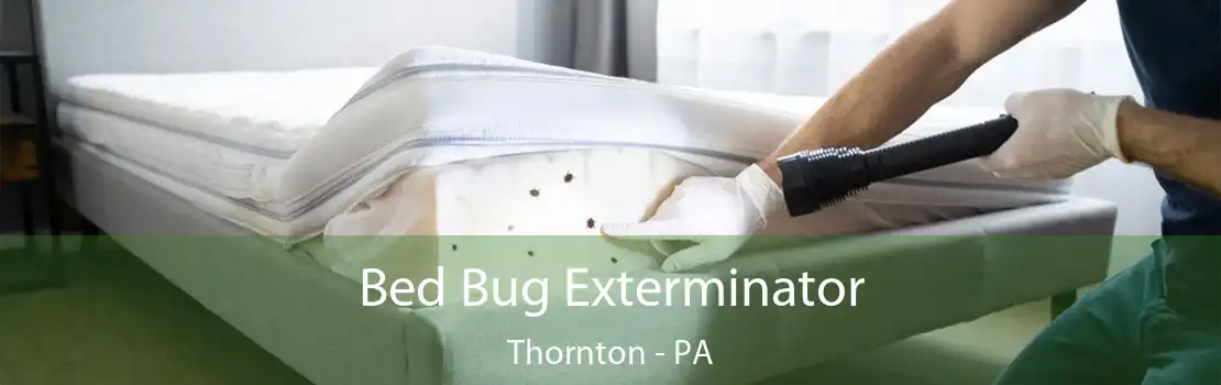 Bed Bug Exterminator Thornton - PA