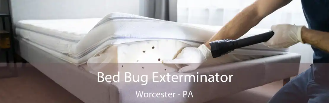 Bed Bug Exterminator Worcester - PA