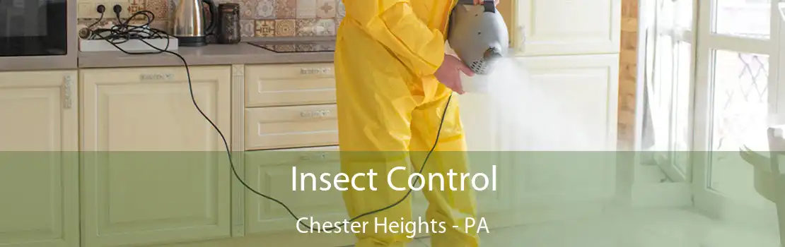 Insect Control Chester Heights - PA