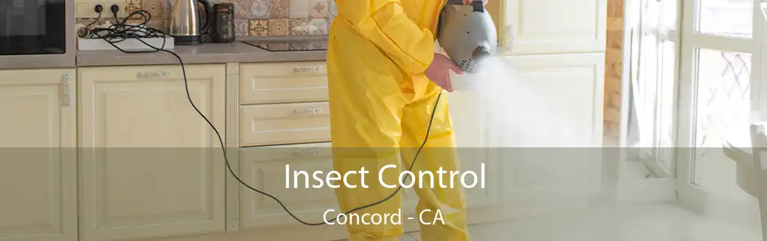 Insect Control Concord - CA