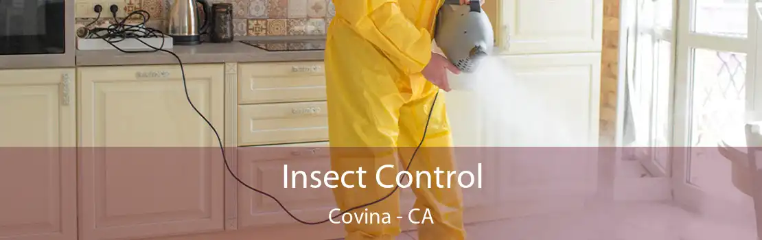 Insect Control Covina - CA