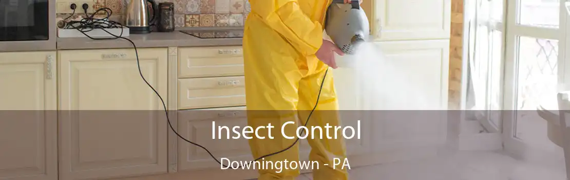 Insect Control Downingtown - PA