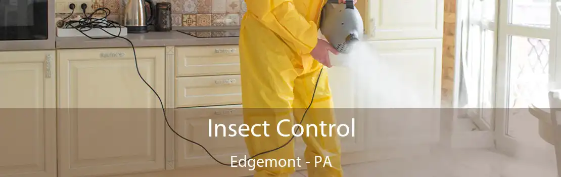 Insect Control Edgemont - PA