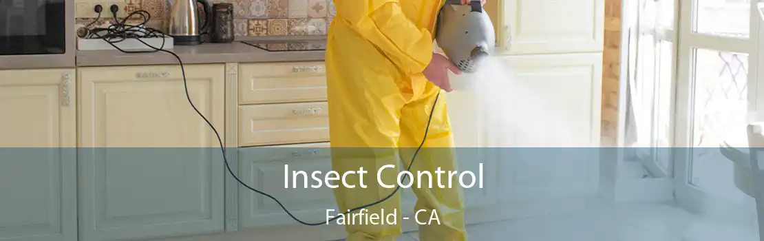 Insect Control Fairfield - CA