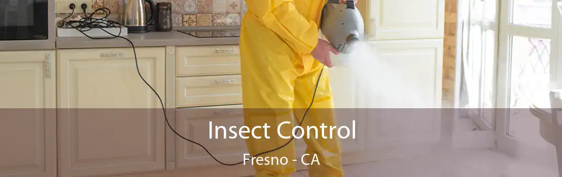 Insect Control Fresno - CA