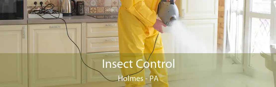 Insect Control Holmes - PA