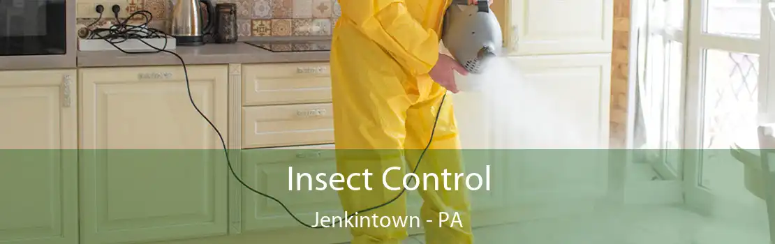 Insect Control Jenkintown - PA