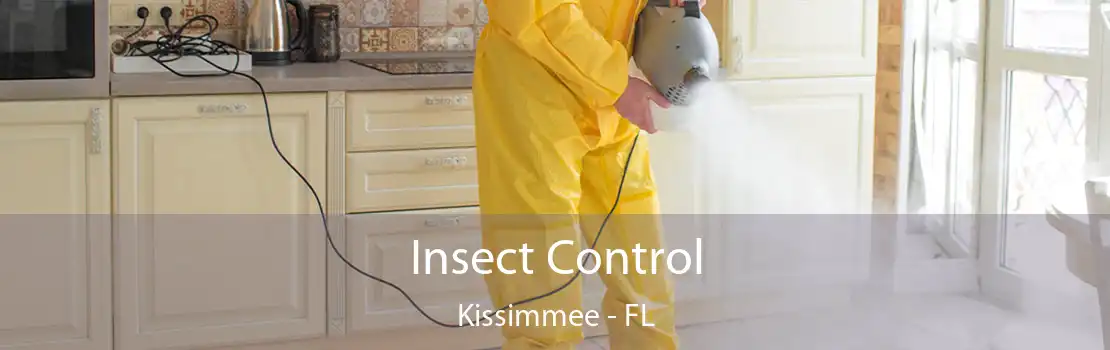 Insect Control Kissimmee - FL