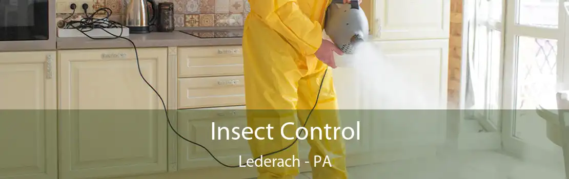 Insect Control Lederach - PA