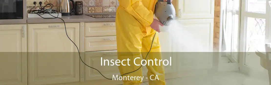 Insect Control Monterey - CA