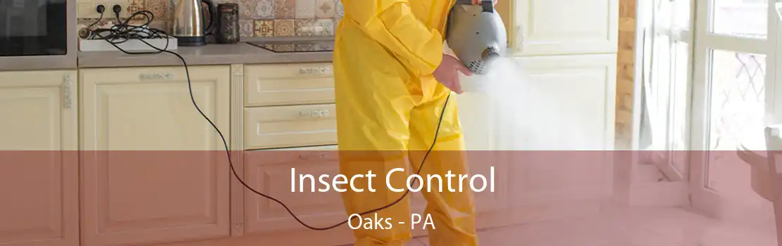 Insect Control Oaks - PA