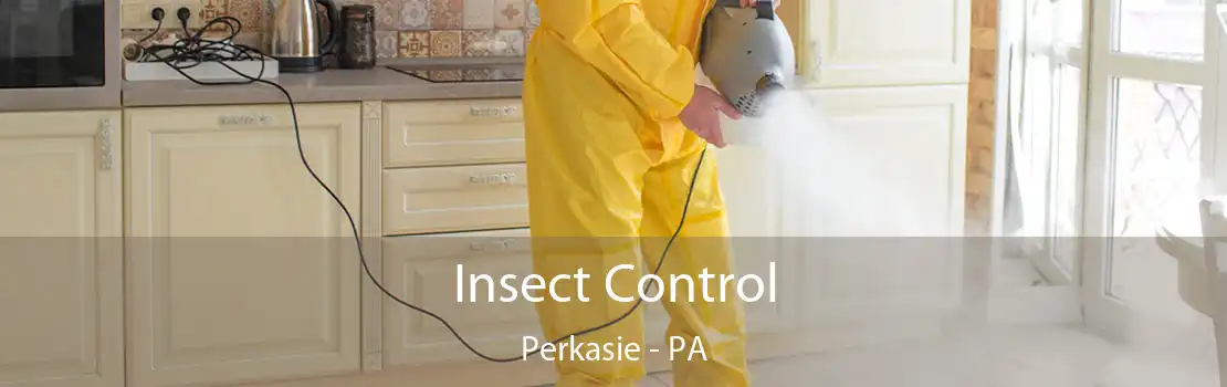 Insect Control Perkasie - PA