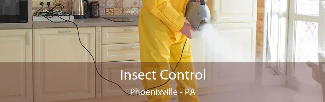 Insect Control Phoenixville - PA