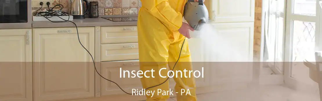 Insect Control Ridley Park - PA