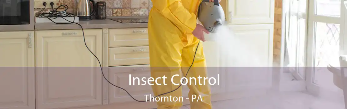 Insect Control Thornton - PA